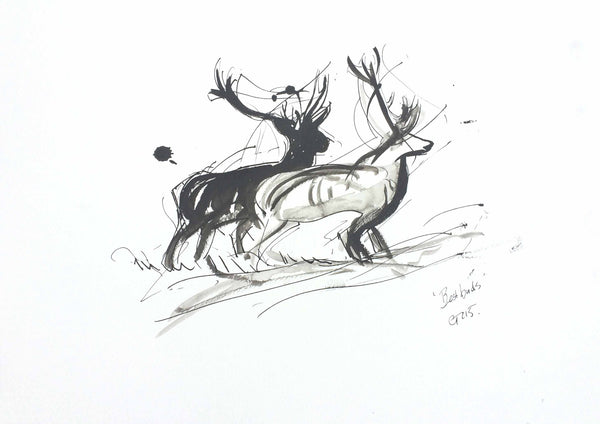 Chloë Art, Chloë Tinsley Art, Chloë Gallery, Stags, Wild Art, Scottish Stags, Limited Edition Print, Card, Inspiring Art, chloegallery.co.uk, rewildingchloe, torridon, ben damph, annat, best buds, best buds card, best buds print, best friend card, stag art, stag drawing, stag print, stag art print, stag ink, stag painting, stag card, best stag card, torridon art, ferroch, best card, stalking enthusiast, deer love, love deer, deer art, deer print, highland stag art, animal art, amazing Torridon
