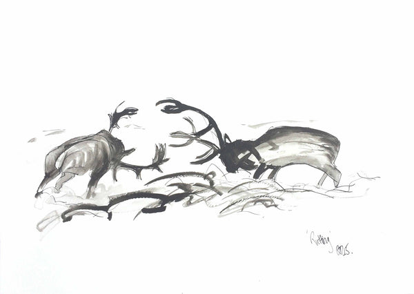 Stags in the Rut, Rutting Stags, Chloë Tinsley, Wild Art, Stag Art, Scottish Art, Scottish Wildlife, RewildingChloe, Chloegallery, chloegallery.co.uk, limited edition print, card, stag card, rutting art, stags rutting, stag drawing, stag ink, fighting stag painting, stag painting, stags antlers art, stag ink drawing, different stag art, artist stag, highland rutting, stalking art, stag stalking art, stag lover, deer stalking art, Torridon art, highland art, animal art, amazing Torridon