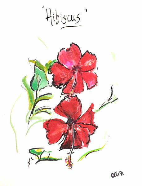 Hibiscus, Hibiscus flower, Hibiscus drawing, hibiscus print, botanical art, botanical print, artists print, red flower, flower power, floral illustration, botanical art, botanical artists, hibiscus drinks, red flowers, Hibiscus painting, Chloe flowers, garden flower, garden wall art, small print, small artist print, red picture, hibiscus art