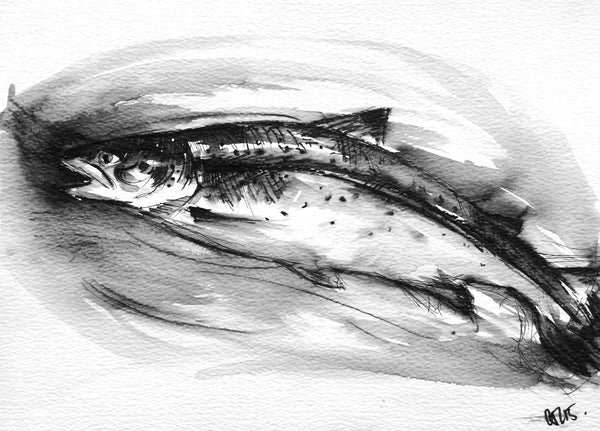 'Inky trout'