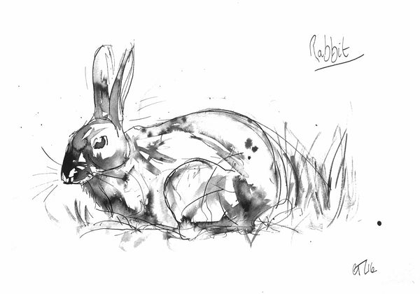 'Rabbit' - Wildlife Prints