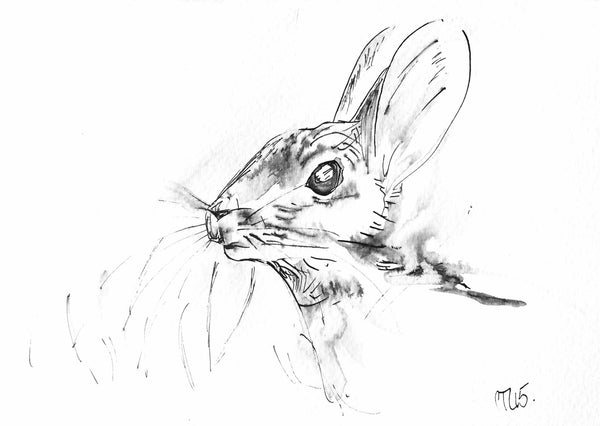 'William's Rabbit'