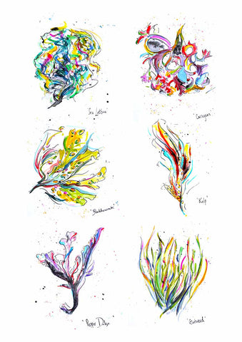 Edible Seaweeds - Group
