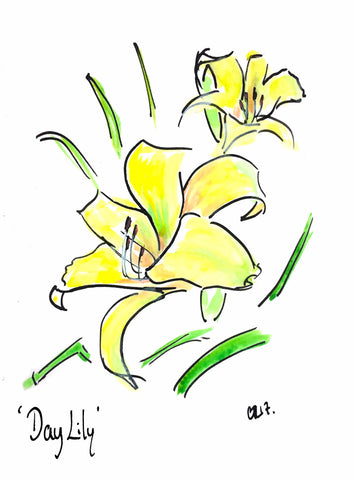 Day Lily, yellow lily, garden flowers, biannual lily, lily flower, botanical art, partridges of London, Sloane Square art, garden art, garden wall art, yellow flower art, day lily art, Chloe flower