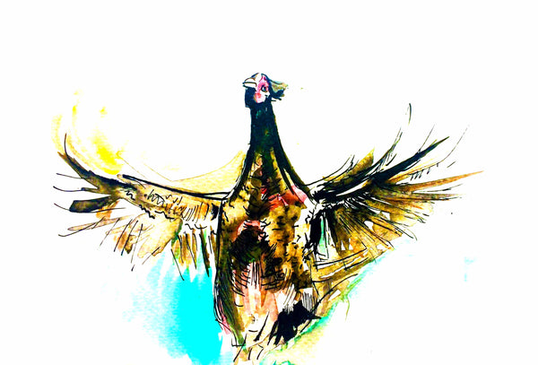 Pheasant on Parade, Colourful Pheasant, Chloë Tinsley
