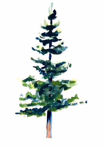 Christmas Card, Christmas Tree, Douglas Fir, Xmas Card