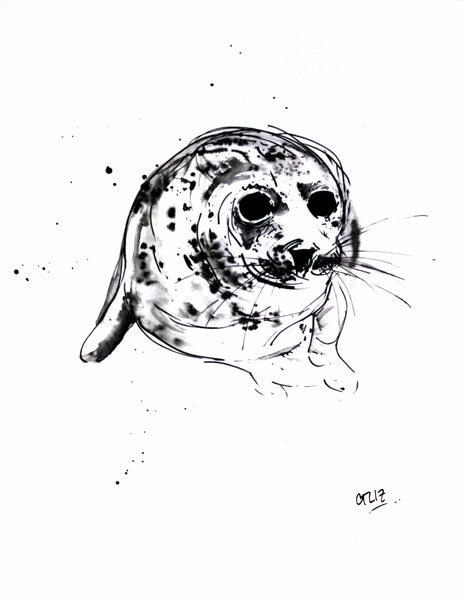 Seal Eyes, Grey Seal, Chloë Tinsley, Chloe Art, Wildlife Drawings and Prints, Seal, Seal Art, Grey Seal Drawing, Seal Ink, Seal illustration, Seal Art, Seal Painting, Cornish Seal, animal art, wild art